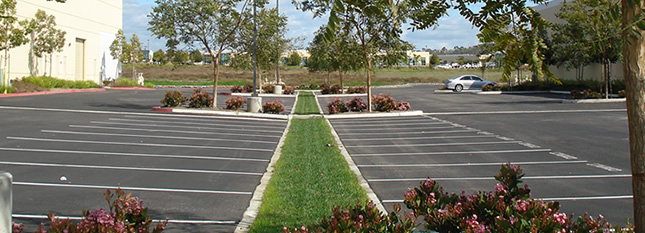 san diego commercial landscaping