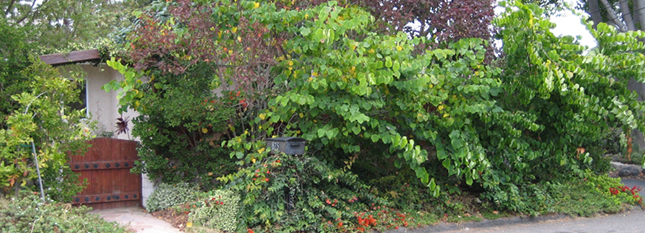 Residential Landscape Architects